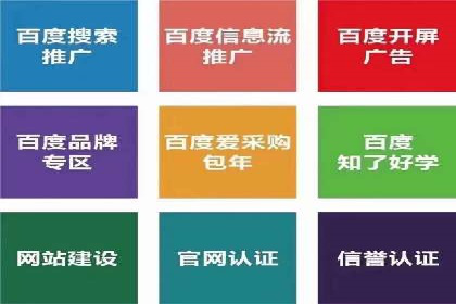SEM推广案例：竞价代运营实战解析